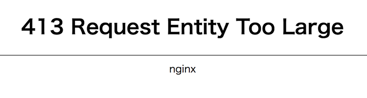 nginxのバージョン情報 変更後
