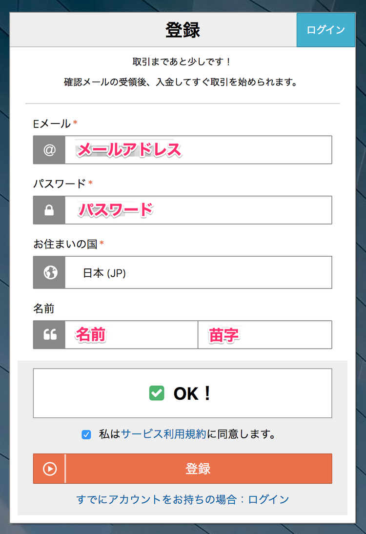 BitMEX テストネットの新規登録内容入力