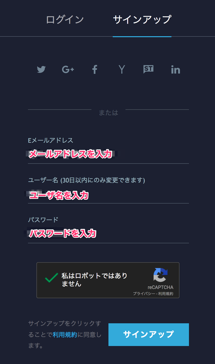 TradingView 新規登録入力項目